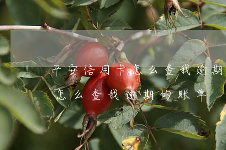 平安信用卡怎么查我逾期的账单(平安信用卡怎么查我逾期的账单)