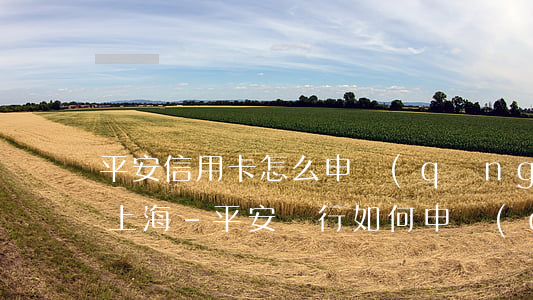 平安信用卡怎么申請(qǐng)停息掛賬上海-平安銀行如何申請(qǐng)停息掛賬