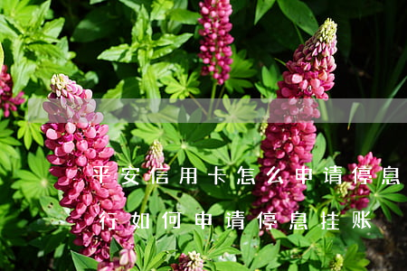 平安信用卡怎么申请停息挂账上海-平安银行如何申请停息挂账