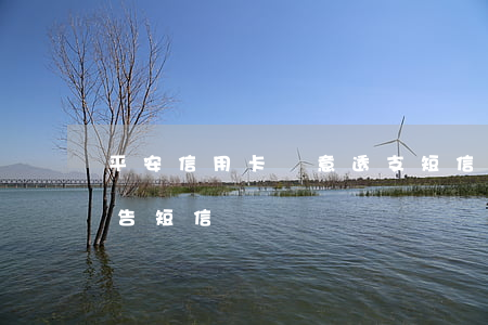 平安信用卡惡意透支短信(平安信用卡兩種警告短信)
