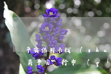 平安信用卡找誰(shuí)協(xié)商(平安銀行申請(qǐng)協(xié)商還款)