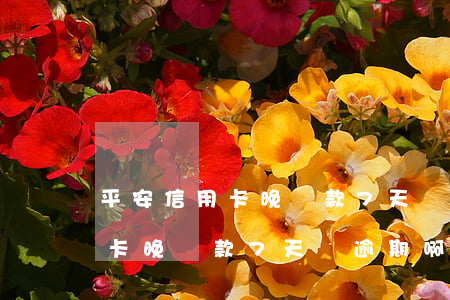 平安信用卡晚還款7天會逾期啊-平安信用卡晚還款7天會逾期啊怎么辦