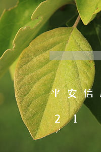 平安信用卡普卡利息-平安銀行信用卡2021