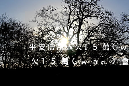平安信用卡欠15萬(wàn) 平安信用卡欠15萬(wàn)會(huì)坐牢嗎
