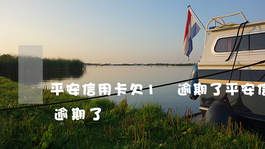 平安信用卡欠1萬逾期了(平安信用卡欠1萬逾期了)