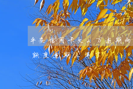 平安信用卡欠2万逾期两年(平安信用卡1w额度逾期三年了)