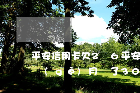 平安信用卡欠2萬6(平安信用卡欠2萬多,每個(gè)月還了3000還是欠2萬)