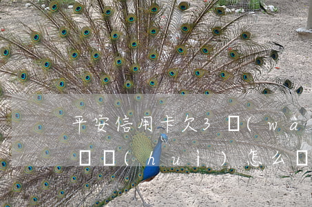 平安信用卡欠3萬(wàn)沒(méi)還會(huì)怎么樣-平安信用卡欠3萬(wàn)沒(méi)還會(huì)怎么樣嗎
