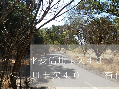 平安信用卡欠40塊錢有什么影響-平安信用卡欠40塊錢有什么影響嗎