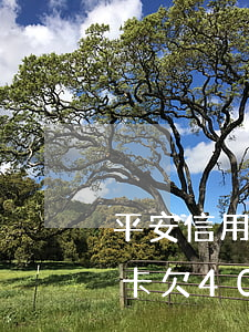 平安信用卡欠40幾塊過期5天-平安信用卡欠40幾塊過期5天怎么辦