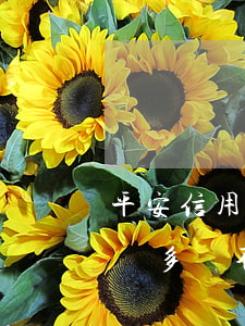 平安信用卡欠5千多不還(平安信用卡欠了三萬多還不上怎么辦?)