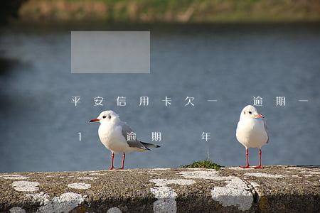 平安信用卡欠一萬逾期一年(平安銀行信用卡1萬逾期兩年)