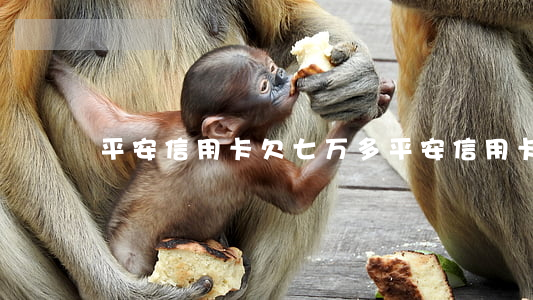 平安信用卡欠七万多(平安信用卡欠七万多)