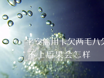 平安信用卡欠两毛八 欠平安信用卡3万元还不上后果会怎样