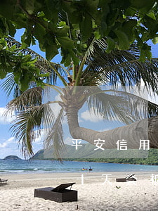 平安信用卡欠了七千(平安信用卡欠七千逾期十天会被强制执行吗)