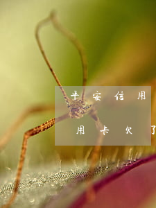平安信用卡欠了三万多说要立案了-平安信用卡欠了三万多说要立案了是真的吗