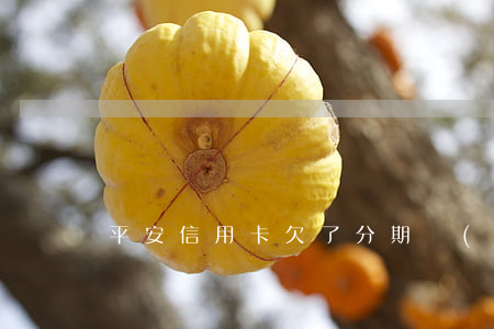 平安信用卡欠了分期協(xié)議
