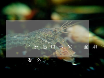 平安信用卡欠債逾期 平安信用卡欠債逾期會怎么樣