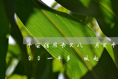 平安信用卡欠八個月(欠平安銀行信用卡4000一年多會被起訴嗎)