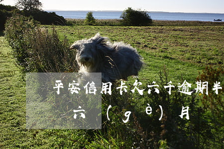 平安信用卡欠六千逾期半年(欠平安信用卡兩萬六個(gè)月)