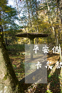 平安信用卡欠款10萬逾期一年-平安信用卡欠款10萬逾期一年