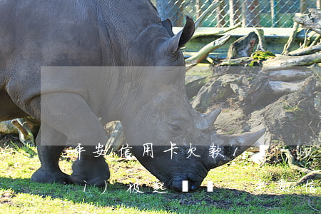 平安信用卡欠款1萬(wàn)4會(huì)被起訴嗎-平安信用卡欠款1萬(wàn)4會(huì)被起訴嗎知乎
