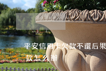 平安信用卡欠款不還后果(平安信用卡還不了款怎么辦)