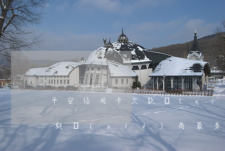 平安信用卡欠款協(xié)商(平安銀行逾期協(xié)商最多能分多少期還款)