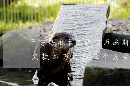 平安信用卡欠款四万逾期三个月(平安信用卡欠款四万逾期三个月会怎么样)
