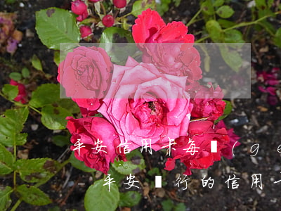 平安信用卡每個(gè)月都是寬逾期還款-平安銀行的信用卡還款寬限期是幾天