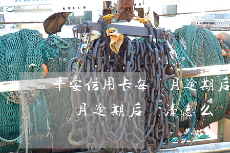 平安信用卡每個月逾期后還清(平安信用卡每個月逾期后還清怎么還)