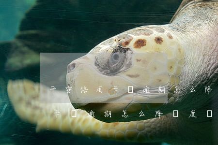 平安信用卡沒逾期怎么降額度嗎-平安信用卡沒逾期怎么降額度嗎知乎