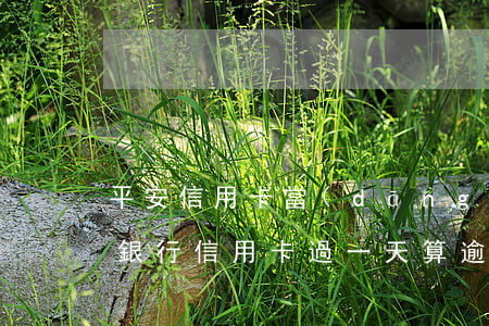平安信用卡當(dāng)月逾期4天(平安銀行信用卡過一天算逾期么)