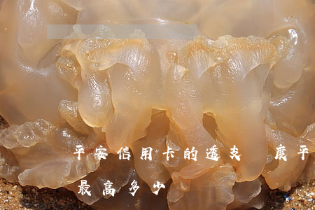 平安信用卡的透支額度(平安信用卡透支額度最高多少)