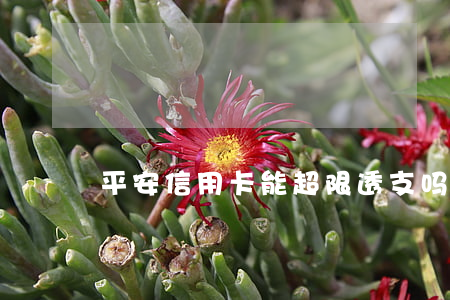 平安信用卡能超限透支吗
