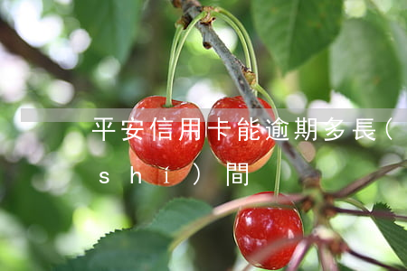 平安信用卡能逾期多長(zhǎng)時(shí)間