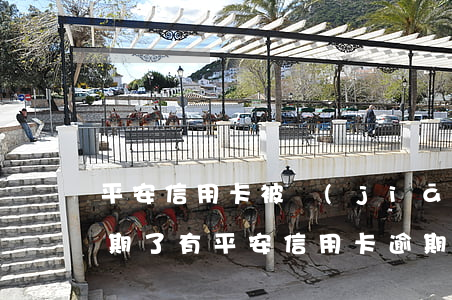 平安信用卡被監(jiān)測(cè)逾期了(有平安信用卡逾期很長(zhǎng)時(shí)間的嗎)