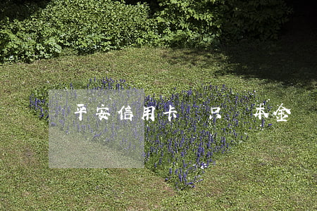 平安信用卡說只還本金