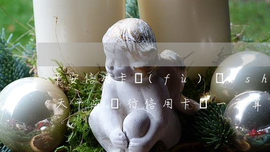 平安信用卡負(fù)數(shù)逾期9天(平安銀行信用卡過一天算逾期么)