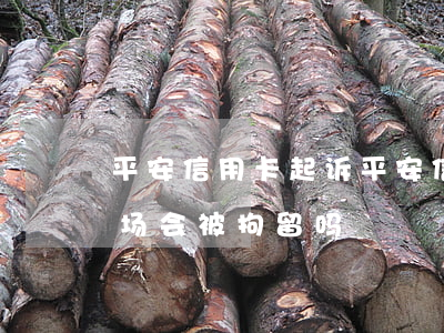 平安信用卡起诉(平安信用卡起诉开庭后会当场会被拘留吗)