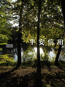 平安信用卡越欠越多-平安信用卡 負債