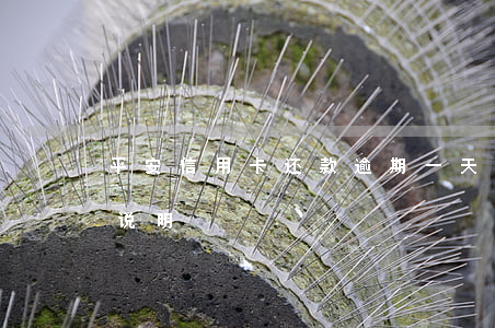 平安信用卡还款逾期一天的计算方法及利息说明