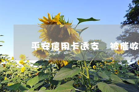 平安信用卡透支會被催收嗎(平安的催收怎么樣)