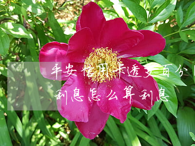 平安信用卡透支百分幾(平安信用卡透支額度利息怎么算利息)