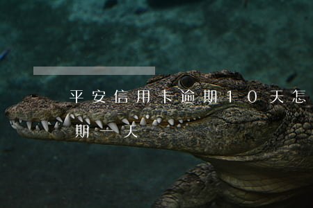 平安信用卡逾期10天怎么辦(平安信用卡 逾期一天)