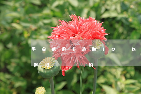 平安信用卡逾期10萬以上(有平安信用卡逾期很長時間的嗎)