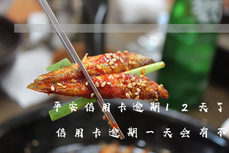 平安信用卡逾期12天了怎么办(平安银行的信用卡逾期一天会有不良记录吗)