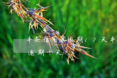 平安信用卡逾期17天(平安信用卡忘了還了逾期十天)