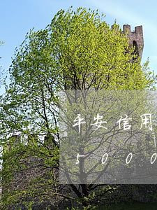 平安信用卡逾期1萬多會起訴么(平安信用卡5000逾期會上門嗎平安)