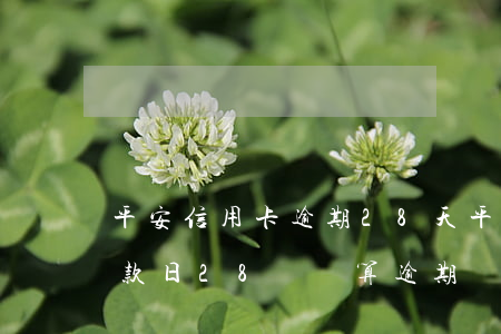 平安信用卡逾期28天(平安信用卡25號還款日28號還算逾期嗎)